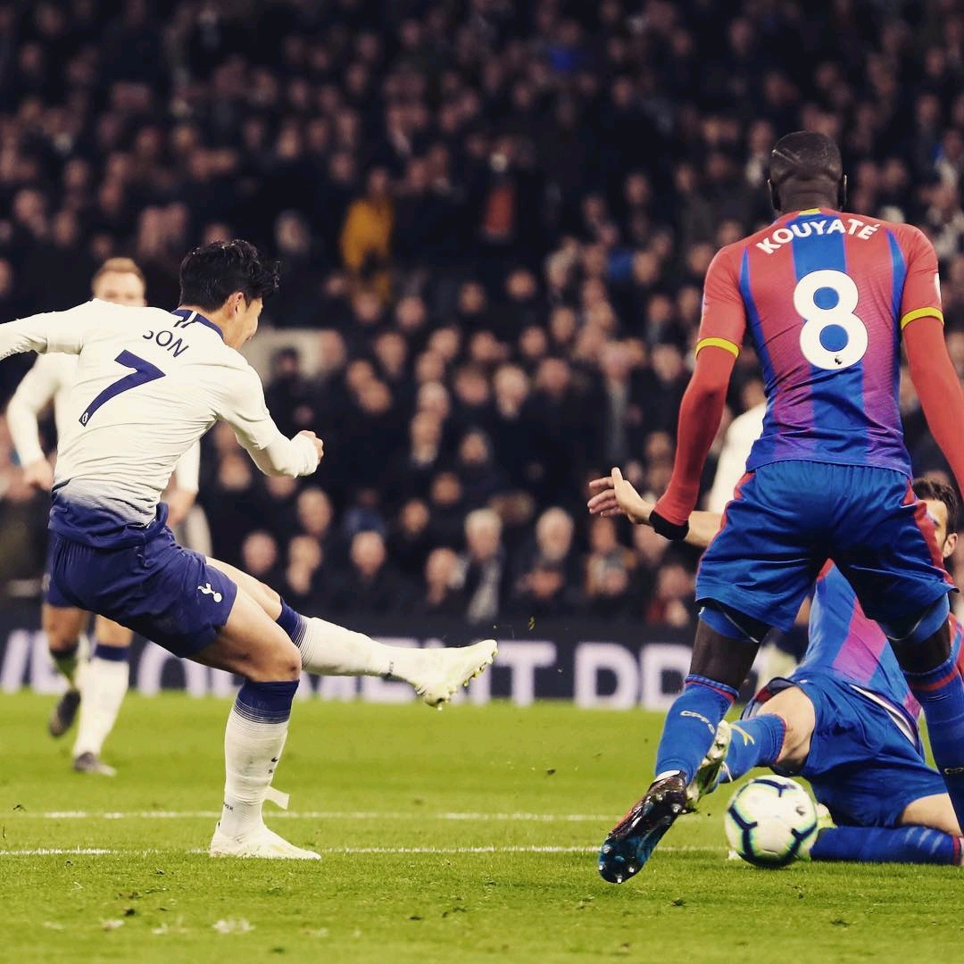 志力最终夺 志力最终夺